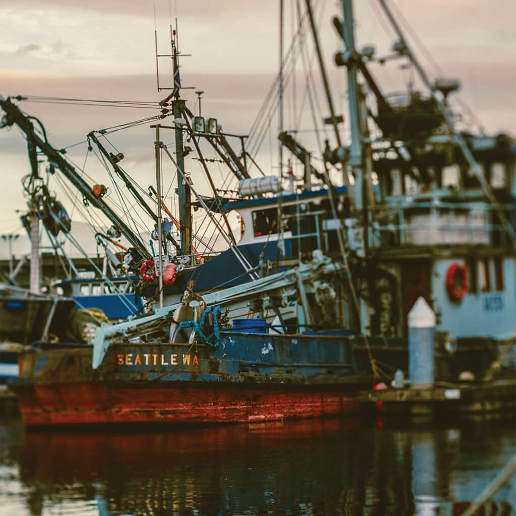 Photograph of docked fishing boats and waterfront structures at Seattle’s Fisherman’s Terminal, with calm water reflections.