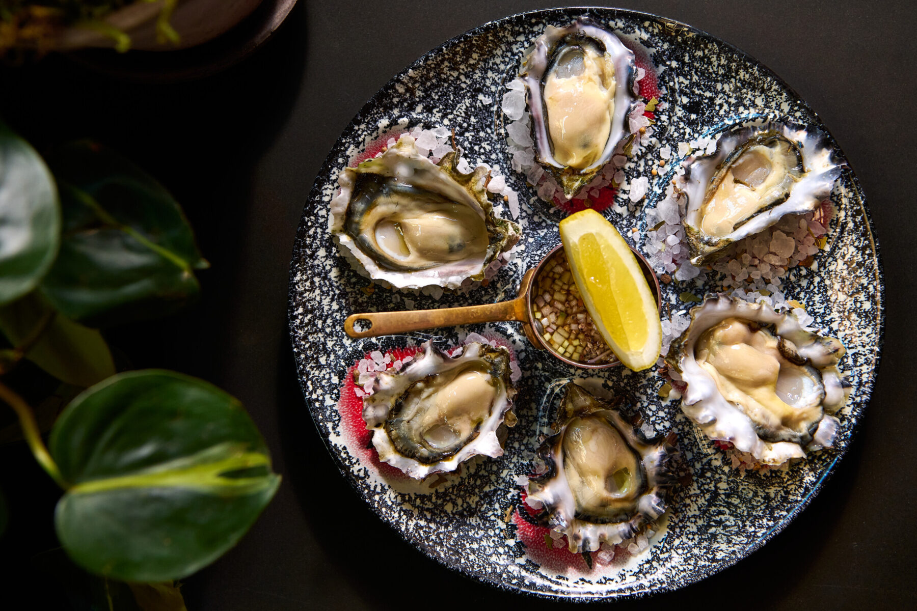 plate of half dozen oysters with a lemon slice in the center of the plate